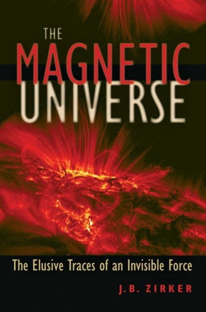 The Magnetic Universe The Elusive Traces of an