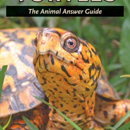 Turtles: The Animal Answer Guide