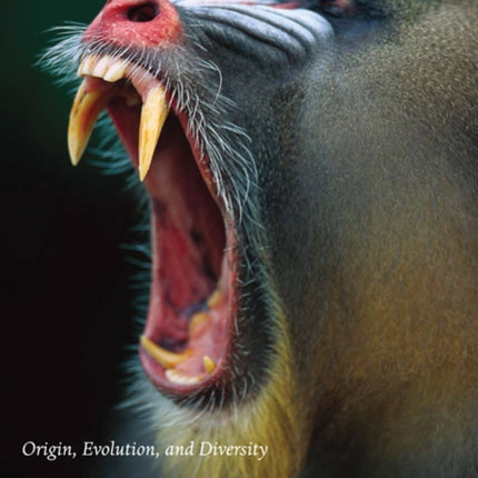 Mammal Teeth: Origin, Evolution, and Diversity