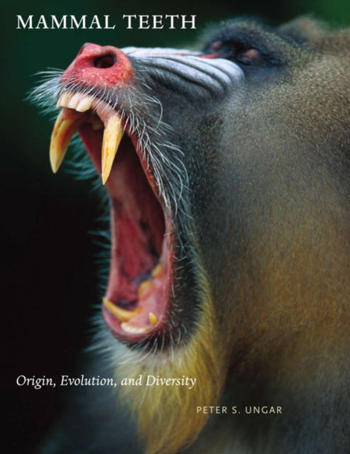 Mammal Teeth: Origin, Evolution, and Diversity