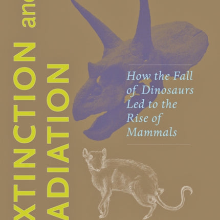 Extinction and Radiation: How the Fall of Dinosaurs Led to the Rise of Mammals