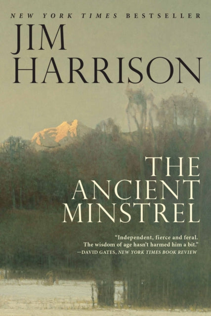 The Ancient Minstrel: Novellas