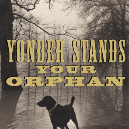 Yonder Stands Your Orphan