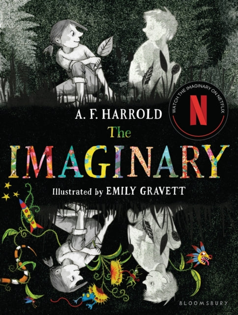 THE Imaginary