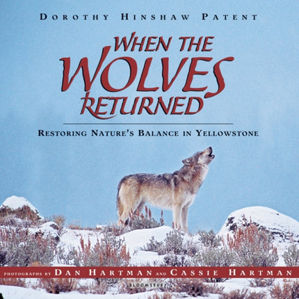 When the Wolves Returned: Restoring Nature's Balance in Yellowstone