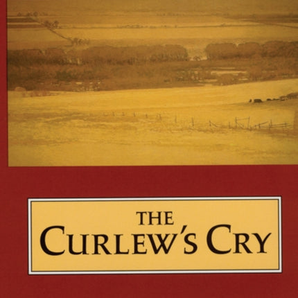 The Curlews Cry