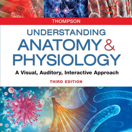 Understanding Anatomy  Physiology