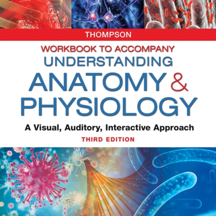 Workbook to Accompany Understanding Anatomy  Ph  A Visual Auditory Interactive Approach