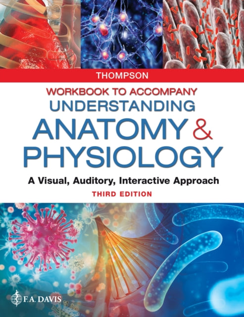 Workbook to Accompany Understanding Anatomy  Ph  A Visual Auditory Interactive Approach