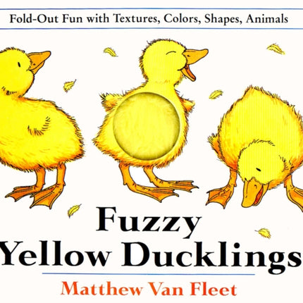 Fuzzy Yellow Ducklings