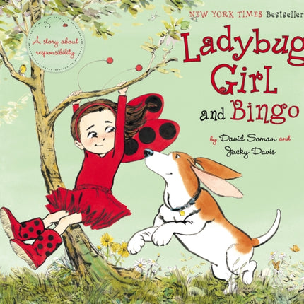 Ladybug Girl and Bingo