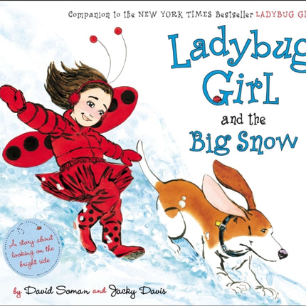 Ladybug Girl and the Big Snow