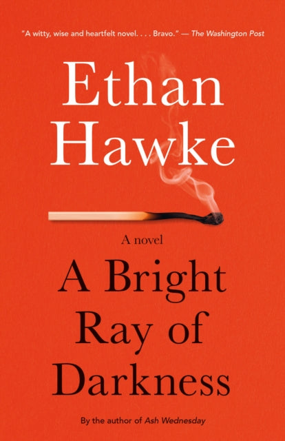 A Bright Ray of Darkness: A novel