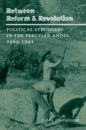 Between Reform and Revolution: Political Struggles in the Peruvian Andes, 1969-1991