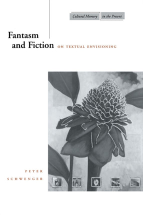 Fantasm and Fiction: On Textual Envisioning