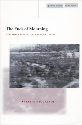 The Ends of Mourning: Psychoanalysis, Literature, Film