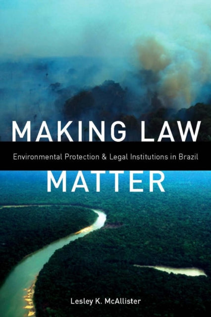 Making Law Matter: Environmental Protection and Legal Institutions in Brazil