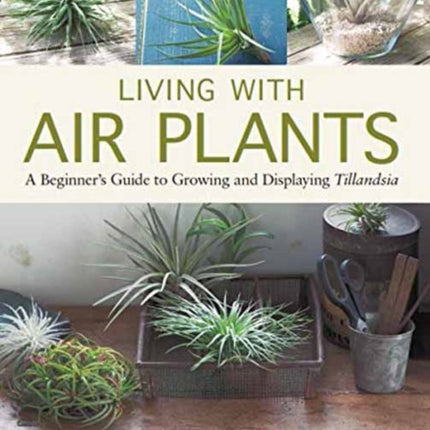 Living with Air Plants