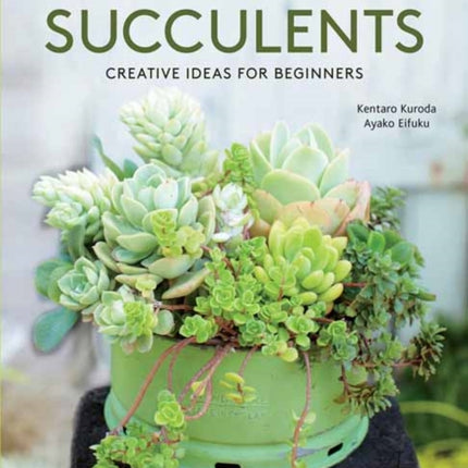 Container Succulents: Creative Ideas for Beginners