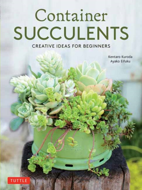 Container Succulents: Creative Ideas for Beginners