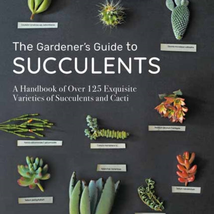 The Gardener's Guide to Succulents: A Handbook of Over 125 Exquisite Varieties of Succulents and Cacti