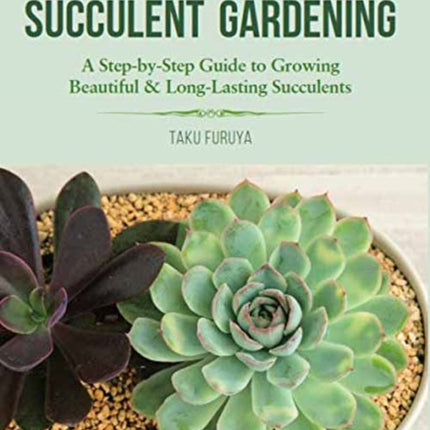 A Beginners Guide to Succulent Gardening