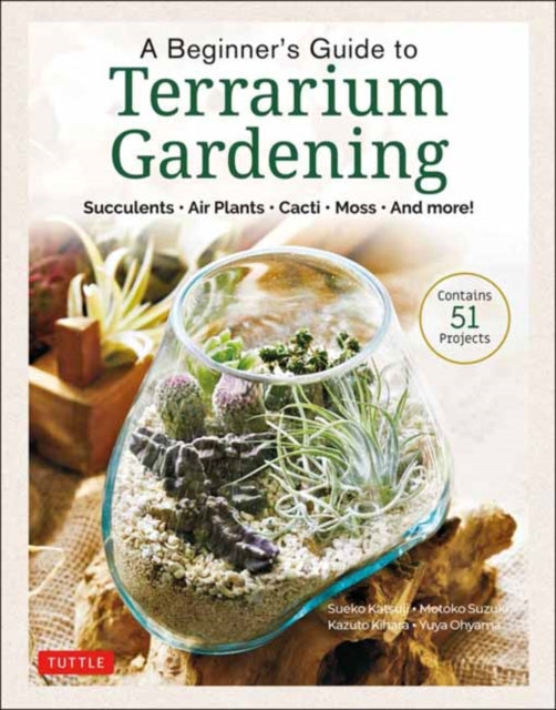 A Beginners Guide to Terrarium Gardening