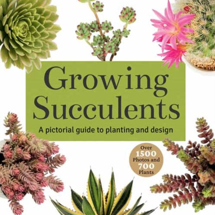 Growing Succulents: A Pictorial Guide (Over 1,500 photos and 700 plants)