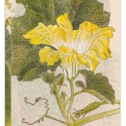 Japanese Squash Blossom Lined Paperback Journal: Blank Notebook with Pocket