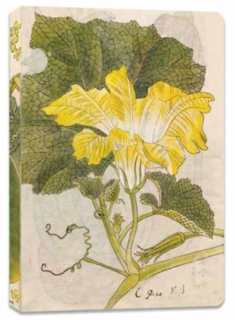 Japanese Squash Blossom Lined Paperback Journal: Blank Notebook with Pocket