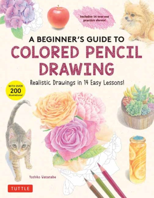 A Beginners Guide to Colored Pencil Drawing