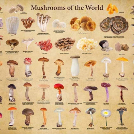 Mushrooms of the World  1000 Piece Jigsaw Puzzle