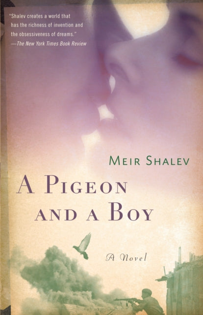 A Pigeon and a Boy: A Novel