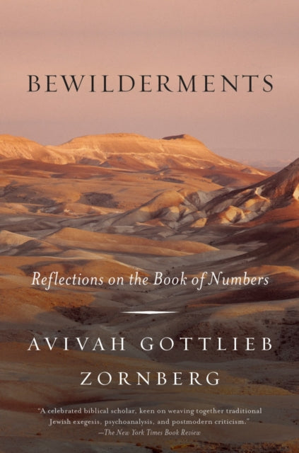 Bewilderments: Reflections on the Book of Numbers