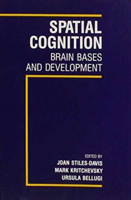 Spatial Cognition Brain Bases and Development