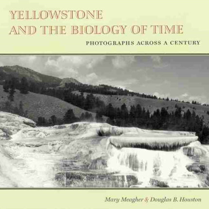 Yellowstone and the Biology of Time  Photographs