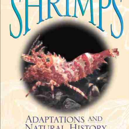 Remarkable Shrimps  Adaptations and Natural