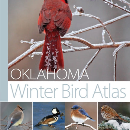 Oklahoma Winter Bird Atlas