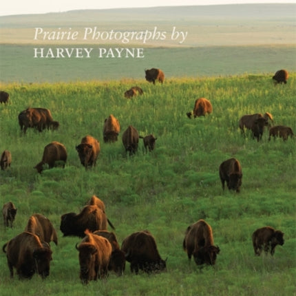 Visions of the Tallgrass: Prairie Photographs by Harvey Payne