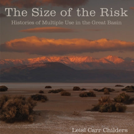 The Size of the Risk  Histories of Multiple Use