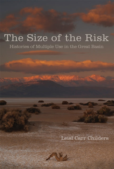 The Size of the Risk  Histories of Multiple Use