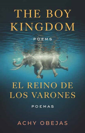 The Boy Kingdom  El reino de los varones
