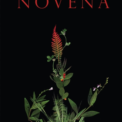 Novena: Poems