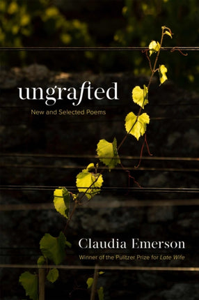 Ungrafted