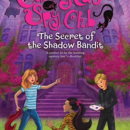 The Secret of the Shadow Bandit