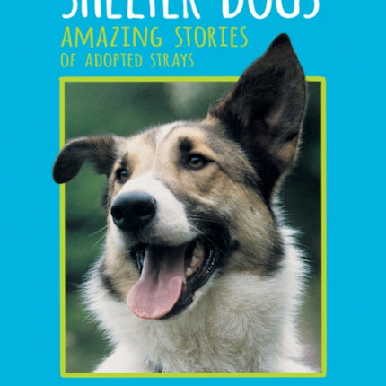 Shelter Dogs: Amazing Stories of Adopted Strays