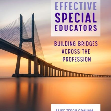 Developing Effective Special Educators: Building Bridges Across the Profession