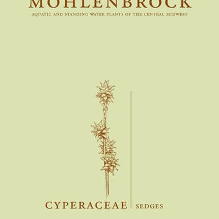 Cyperaceae  Sedges