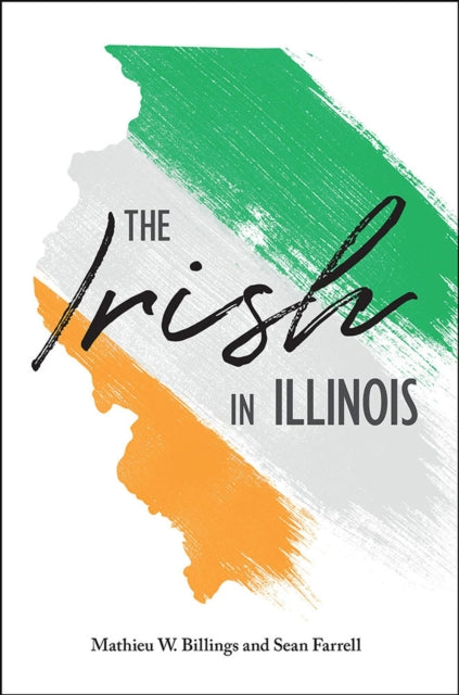 The Irish in Illinois