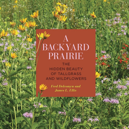 A Backyard Prairie